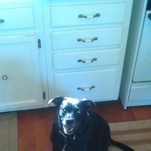 Meet your Posher, Margaret